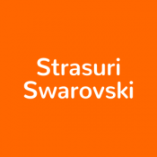 Strasuri Swarovski (39)